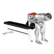 Dumbbell seated bent over triceps extension demonstration