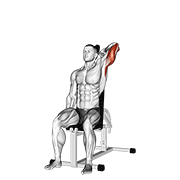 Dumbbell seated reverse grip one arm overhead tricep extension demonstration
