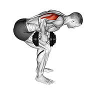 Dumbbell standing bent over one arm triceps extension demonstration