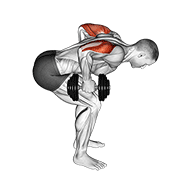 Dumbbell standing bent over two arm triceps extension demonstration