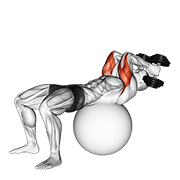 Exercise ball supine triceps extension demonstration