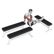 Three bench dip demonstration