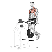 Weighted tricep dips demonstration