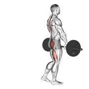 Barbell single leg deadlift demonstration