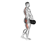 Dumbbell single leg deadlift demonstration