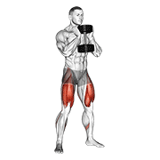 Dumbbell goblet squat demonstration