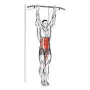 Hanging leg hip raise demonstration