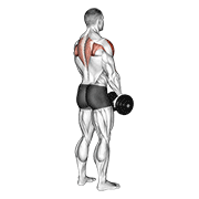 Dumbbell upright row (back pov) demonstration