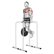 Weighted triceps dip on high parallel bars demonstration