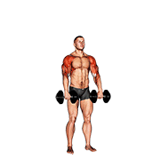 Dumbbell cuban press v. 2 demonstration