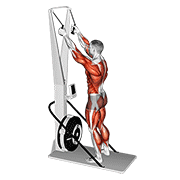 Ski ergometer demonstration
