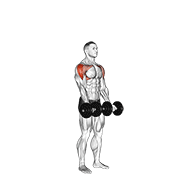 Dumbbell standing around world demonstration
