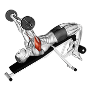 Ez barbell decline triceps extension demonstration