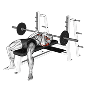 Barbell reverse close-grip bench press demonstration