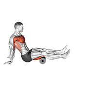 Roller seated shoulder flexor depresor retractor demonstration