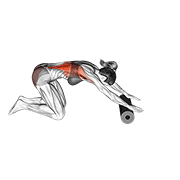 Roller back stretch demonstration