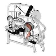 Lever hip extension v. 2 demonstration