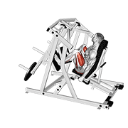 Lever alternate leg press demonstration