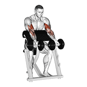 Dumbbell zottman preacher curl demonstration