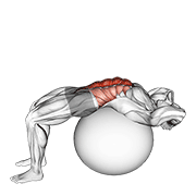 Stability ball crunch (full range hands behind head) demonstration