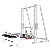 Inverted row on bench demonstration
