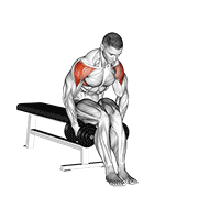 Dumbbell seated bent arm lateral raise demonstration