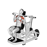 Lever shoulder press v. 3 demonstration