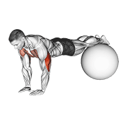 Narrow push-up on exercise ball demonstration