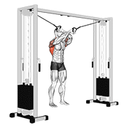 Cable lat pulldown full range of motion demonstration