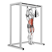 Arm slingers hanging straight legs demonstration