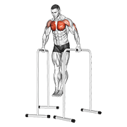 Wide-grip chest dip on high parallel bars demonstration