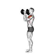 Dumbbell scott press demonstration