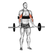 Ez-bar biceps curl (with arm blaster) demonstration