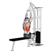 Cable lateral pulldown with v-bar demonstration