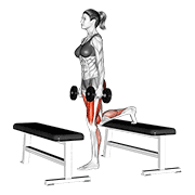 Dumbbell step-up lunge demonstration