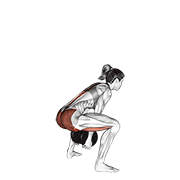 Dumbbell sumo pull through demonstration
