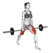 Barbell split squat v. 2 demonstration