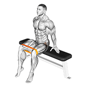 Resistance band seated hip abduction demonstration