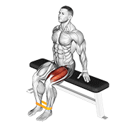 Resistance band leg extension demonstration