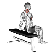 Scapula dips demonstration