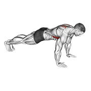Scapula push-up demonstration
