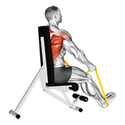 Resistance band seated straight back row demonstration