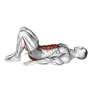 Pelvic tilt demonstration