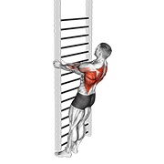 Bodyweight standing close-grip row demonstration