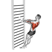 Bodyweight standing row (with towel) demonstration