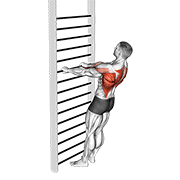 Bodyweight standing row demonstration