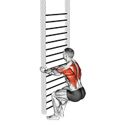 Bodyweight squatting row demonstration