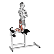 Glute-ham raise demonstration