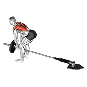 Lever bent-over row with v-bar demonstration