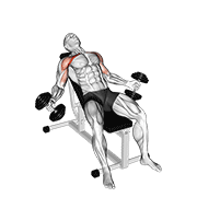 Hyght dumbbell fly demonstration